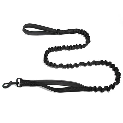 Laisse pour chien FlavPet