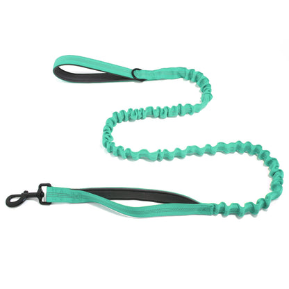 Laisse pour chien FlavPet