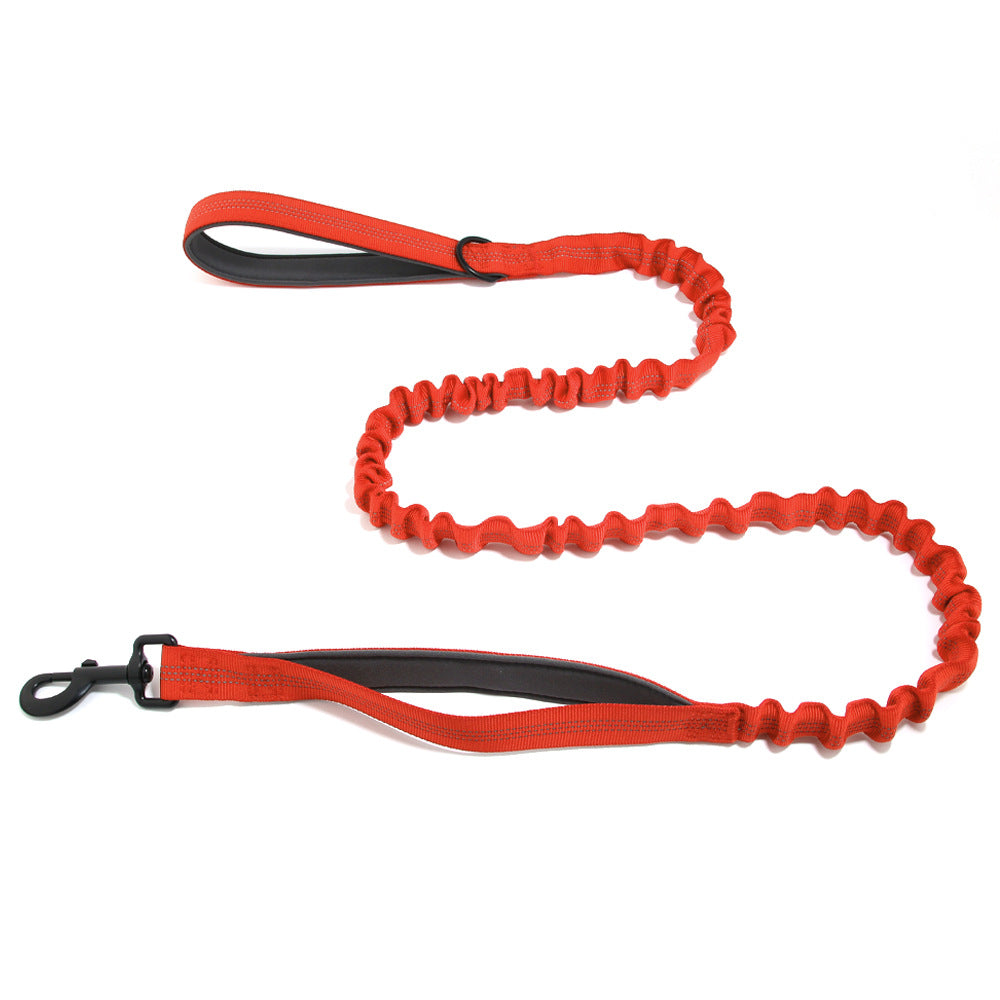 Laisse pour chien FlavPet