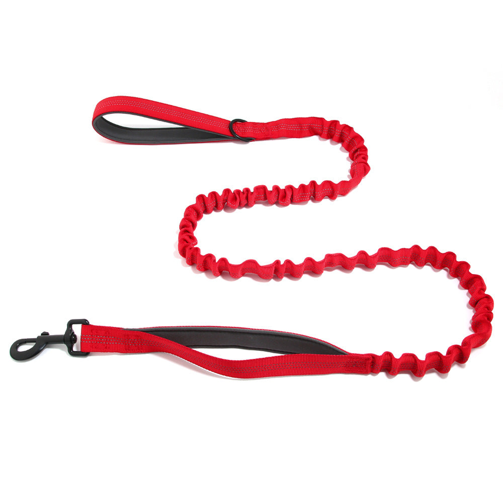 Laisse pour chien FlavPet