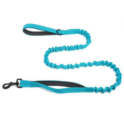 Laisse pour chien FlavPet