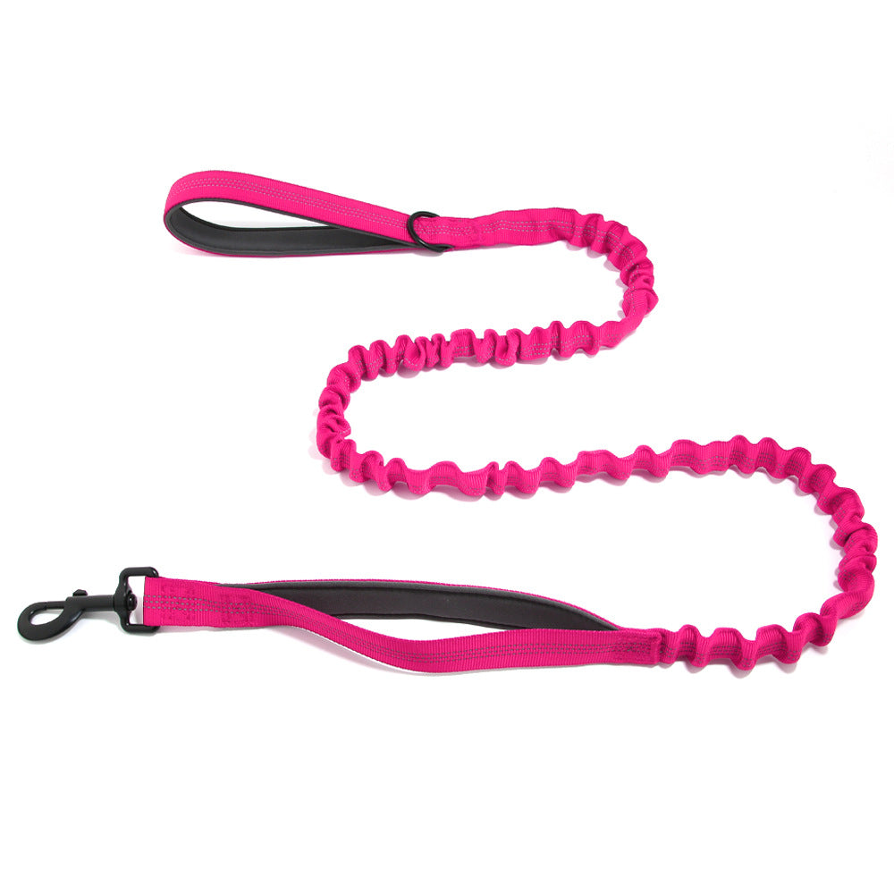Laisse pour chien FlavPet