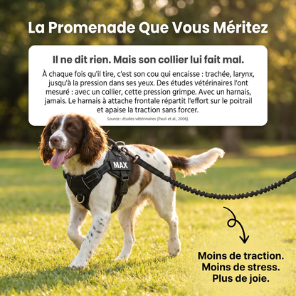 Harnais anti-traction pour chien FlavPet
