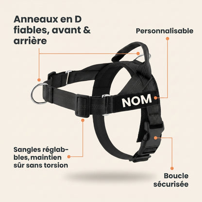 Harnais anti-traction pour chien FlavPet