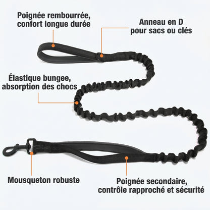 Harnais anti-traction pour chien FlavPet
