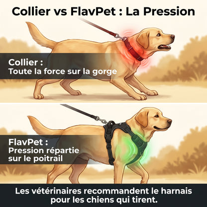 Harnais anti-traction pour chien FlavPet