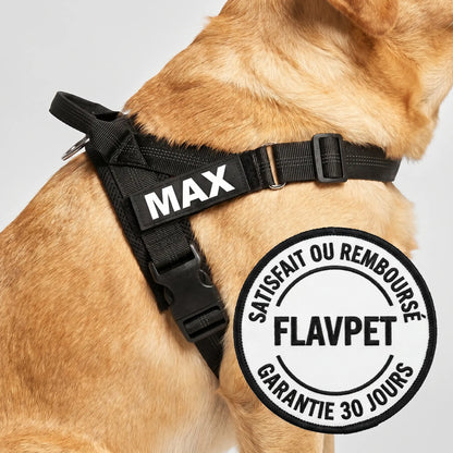 Harnais anti-traction pour chien FlavPet